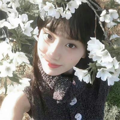 呆呆精灵